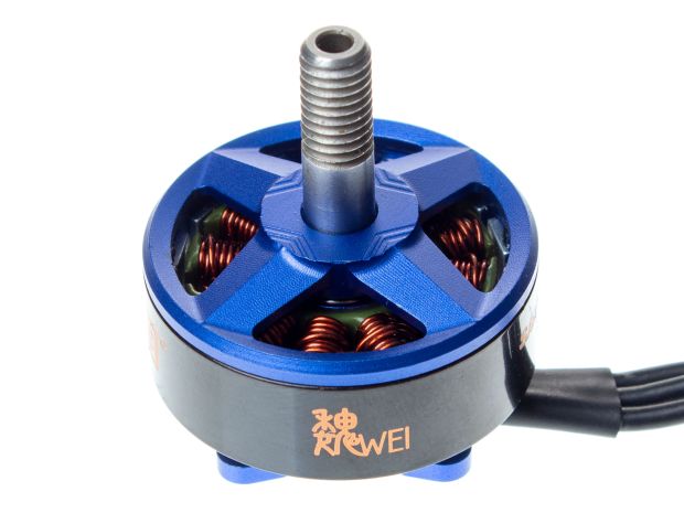 Двигун безколекторний DYS Samguk Wei 2207-2300kv, Світлина 1