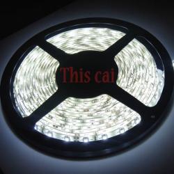 LED cтрічка 3528 холодний білий колір, вологозахищена  IP65 (5см)