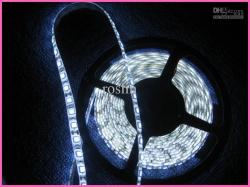 LED лента 5050, холодный белый цвет (5см)