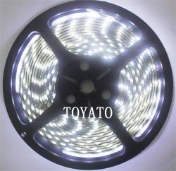 LED cтрічка 3528, холодний білий колір,чорна основа, вологозахищена IP65 (5см)